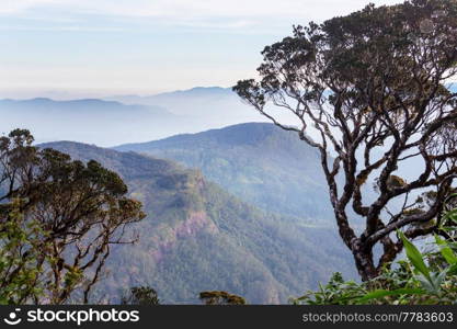 Beautiful green natural landscapes in Sri Lanka mountains