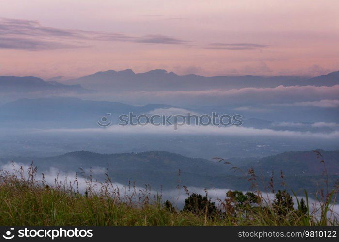 Beautiful green natural landscapes in Sri Lanka mountains