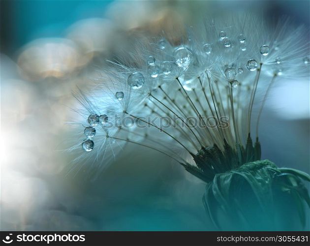 Beautiful Green Nature Background.Amazing Spring Dandelion Flower.Water Drop.Macro Photo of Magic Flowers.Border Art Design.Extreme close up Photography.Conceptual Abstract Image.Fantasy Floral Art.Creative Artistic Wallpaper.Web Banner.Colorful.Ecology Energy of Plant.