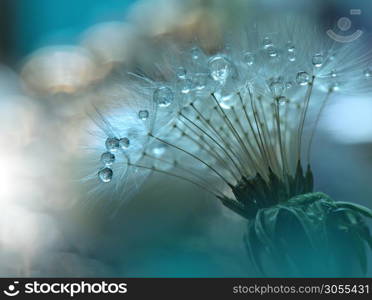 Beautiful Green Nature Background.Amazing Spring Dandelion Flower.Water Drop.Macro Photo of Magic Flowers.Border Art Design.Extreme close up Photography.Conceptual Abstract Image.Fantasy Floral Art.Creative Artistic Wallpaper.Web Banner.Colorful.Ecology Energy of Plant.