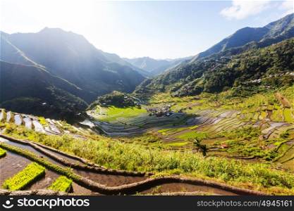 Beautiful Green Rice terraces in the Philippines. . Rice cultivation in the Luzon island.