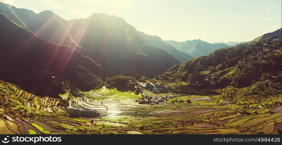 Beautiful Green Rice terraces in the Philippines. Rice cultivation in the Luzon island.