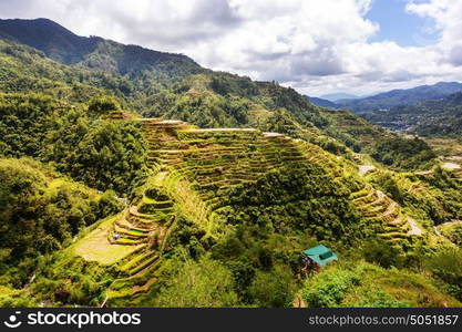 Beautiful Green Rice terraces in the Philippines. Rice cultivation in the Luzon island.