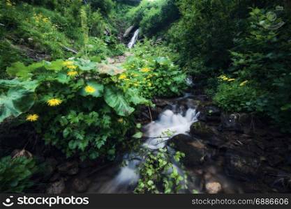Beautiful green summer forest waterfall
