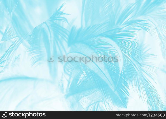 Beautiful green turquoise vintage color trends feather pattern texture background