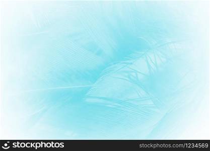 Beautiful green turquoise vintage color trends feather pattern texture background