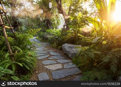Beautiful greenery garden or park with heavy mist with sunset light.