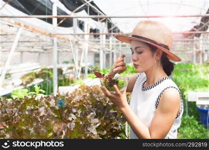Beautiful healthy woman holding salad vegetables in hydroponics farm. Healthy lifestyle concept