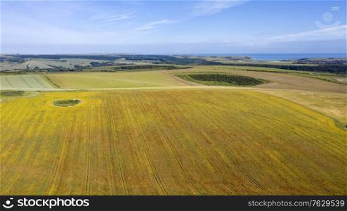 Beautiful high flying drone landscape image of poppy field in English countryside during Summer evening sunset