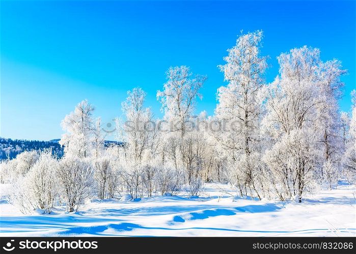 Beautiful hills landscape with blue sky and white winter snowy trees