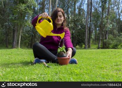 Beautiful Hispanic young woman watering water on a small plant inside a pot in her home garden during the morning. Beautiful Hispanic young woman watering water on a small plant inside a pot in her home garden