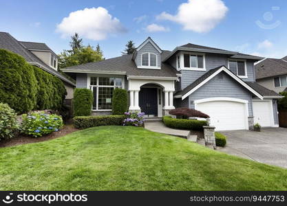 Beautiful home with green grass yard and blooming hydrangea flowers in summer season  