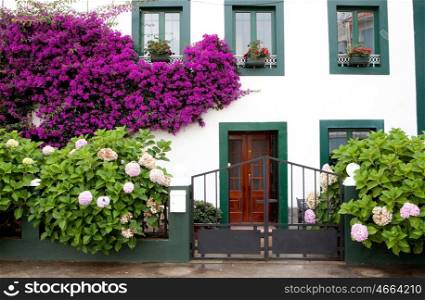 Beautiful house with fwith pots on their windows and many flowers