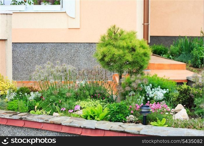 Beautiful house yard with different plants