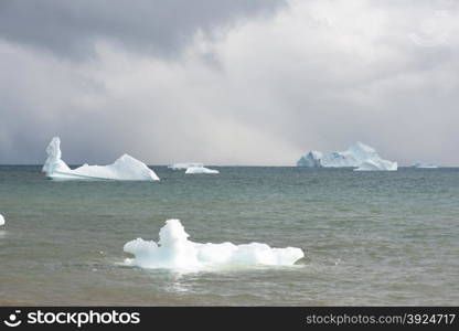 Beautiful icebergs. Beautiful icebergs in the sun and in front of a dark sky