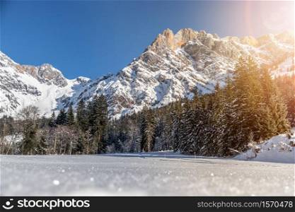 Beautiful idyllic winter landscape: stunning mountain range, snowy trees and blue sky