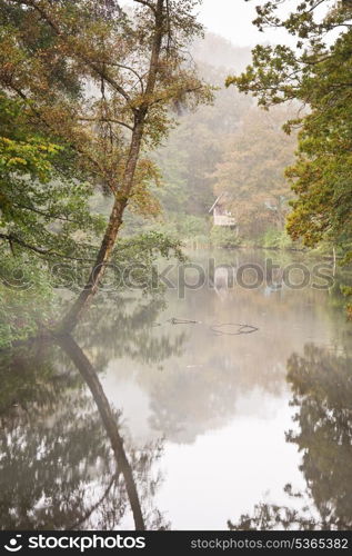 Beautiful image of Autumn Fall colors in nature of flora anf foliage