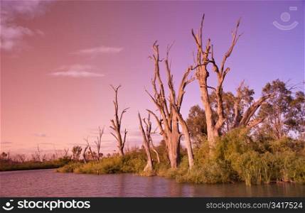 beautiful image of sunset on the river murray south australia