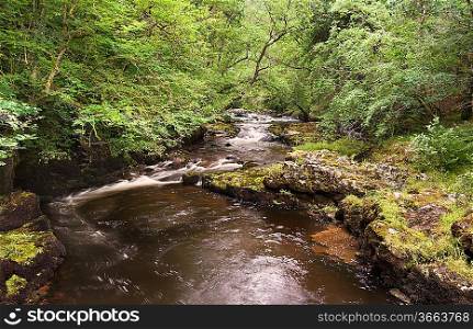 Beautiful image of waterfall in forest with stram and lush green foliage