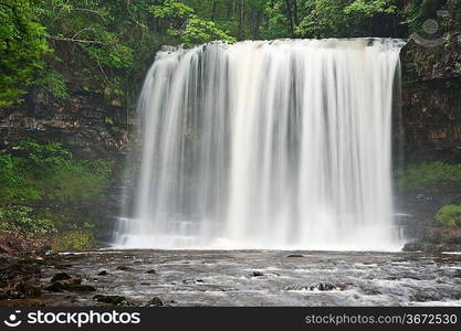 Beautiful image of waterfall in forest with stram and lush green foliage