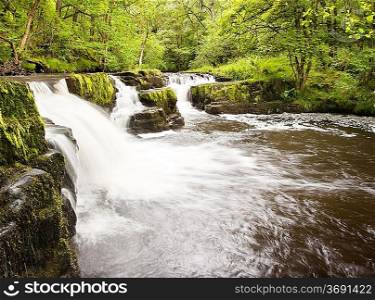 Beautiful image of waterfall in forest with stram and lush green foliage