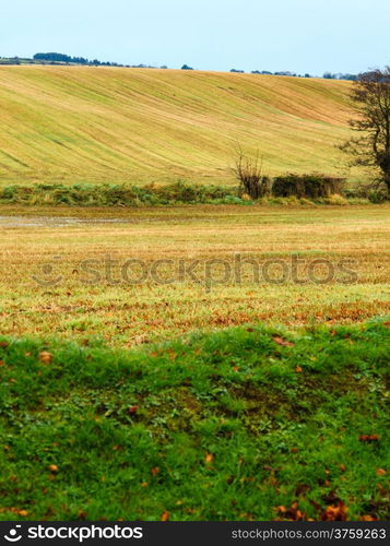 Beautiful irish autumnal landscape meadows fields scenery Co.Cork, Ireland Europe