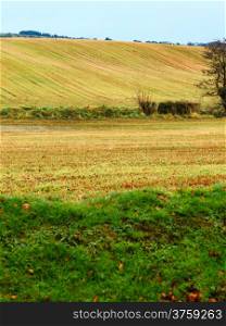 Beautiful irish autumnal landscape meadows fields scenery Co.Cork, Ireland Europe