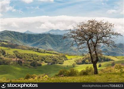Beautiful Italian Countryside Landscape over Rolling Hills and Blue Sky