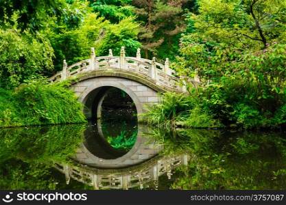 Beautiful Japanese garden