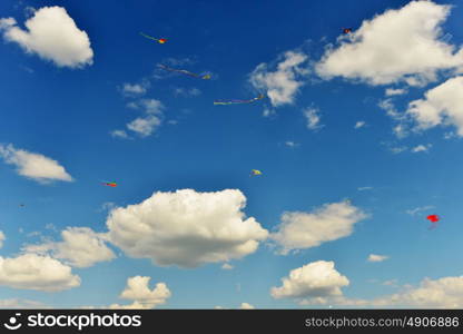Beautiful kites in blue sky