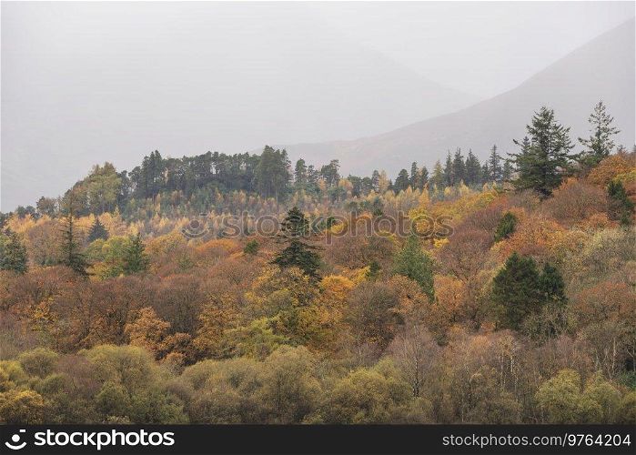 Beautiful Lake District landscape image of vibrant Autumn woodlands with mountain ranges in background
