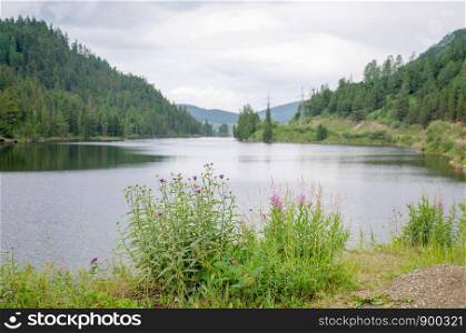 Beautiful lake in Altai mountains and forest Russia