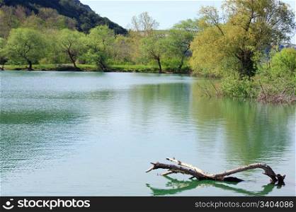 beautiful lake with snag and spring mountain behind (Crimea, Ukraine)