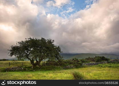 Beautiful landscape across countryside to mountains in distance with moody sky