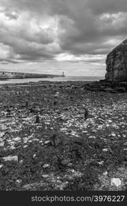 Beautiful landscape around Tynemouth Pier and lighthouse, Tynemouth, UK in black and white and portrait format