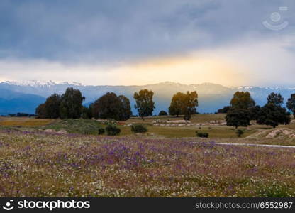 Beautiful landscape at Spring  . Beautiful landscape at Spring during de sunrise