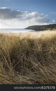 Beautiful landscape image of Freshwater West beach with sand dunes in Pembrokeshire Wales