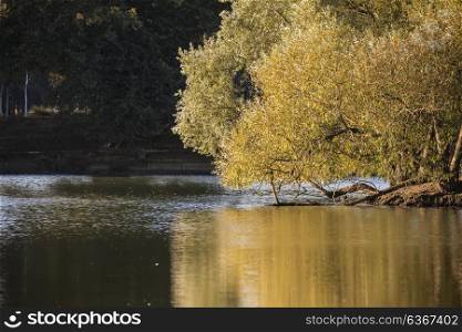 Beautiful landscape image of golden Autumn Fall trees reflected in calm lake
