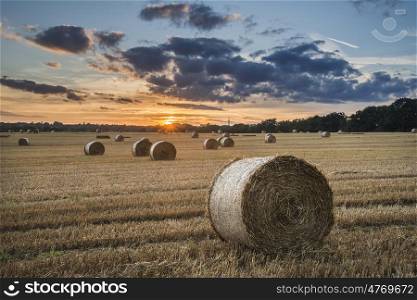 Beautiful landscape image of hay bales in Summer field during colorful sunset