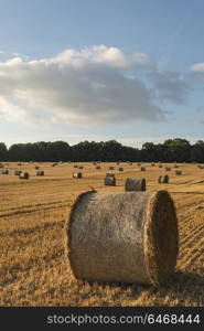 Beautiful landscape image of hay bales in Summer field during colorful sunset