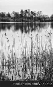 Beautiful landscape image of Loughrigg Tarn in UK Lake District during moody evening in Spring in black and white