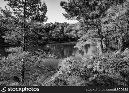 Beautiful landscape image of old clay pit quarry lake in black and white