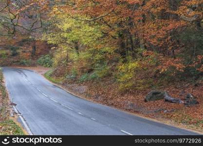 Beautiful landscape image of road winding through vibrant Autumn Dodd Woods forest in Lake District