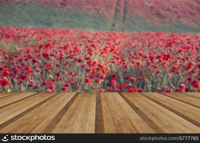 Beautiful landscape image of Summer poppy field with wooden planks floor
