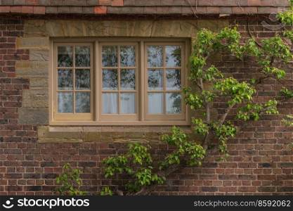 Beautiful landscape image of typical English country garden in Spring or Summer