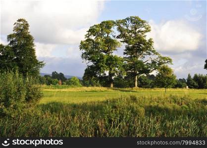 Beautiful landscape in Co. Wiclow , ireland