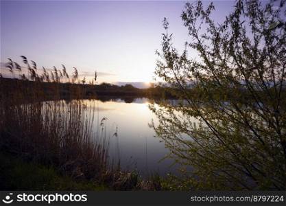 beautiful landscape. lake and reeds in the foreground at sunset 