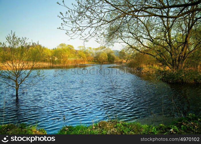 Beautiful landscape of a countryside, nature