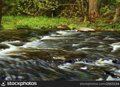 Beautiful landscape of a river flowing over rocks in green forest