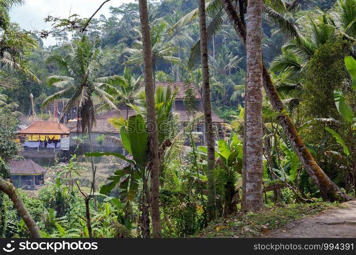 Beautiful landscape of a tropical Indonesian rainforest. Palm trees and a village near nature. Beautiful landscape of a tropical Indonesian rainforest. Palm trees and a village near